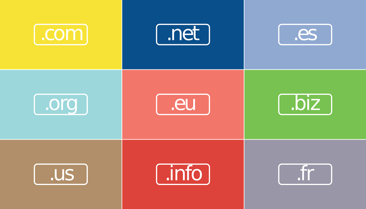 Domain name TLDs